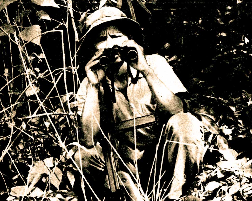 Vietcong Observer - they were just as gloomy about us.