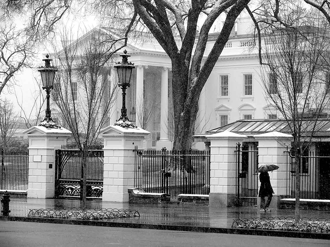 The White House