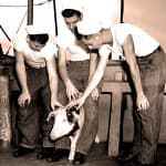Dog surgery, veterinary care, veterinary professionals, animal health, animal treatment, dog surgery operation, animal rescue, medical treatment for dogs, veterinary clinic, animal health care, vintage veterinary scene, historical animal care images, old veterinary practice, mid-20th century animal treatment, retro veterinary surgery.