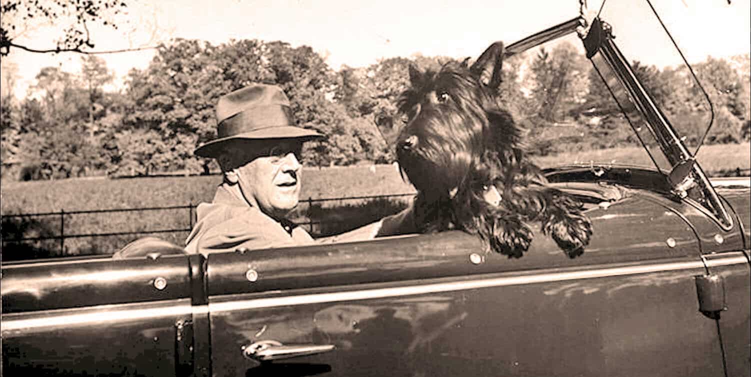 FDR and Fala - Campaign '44