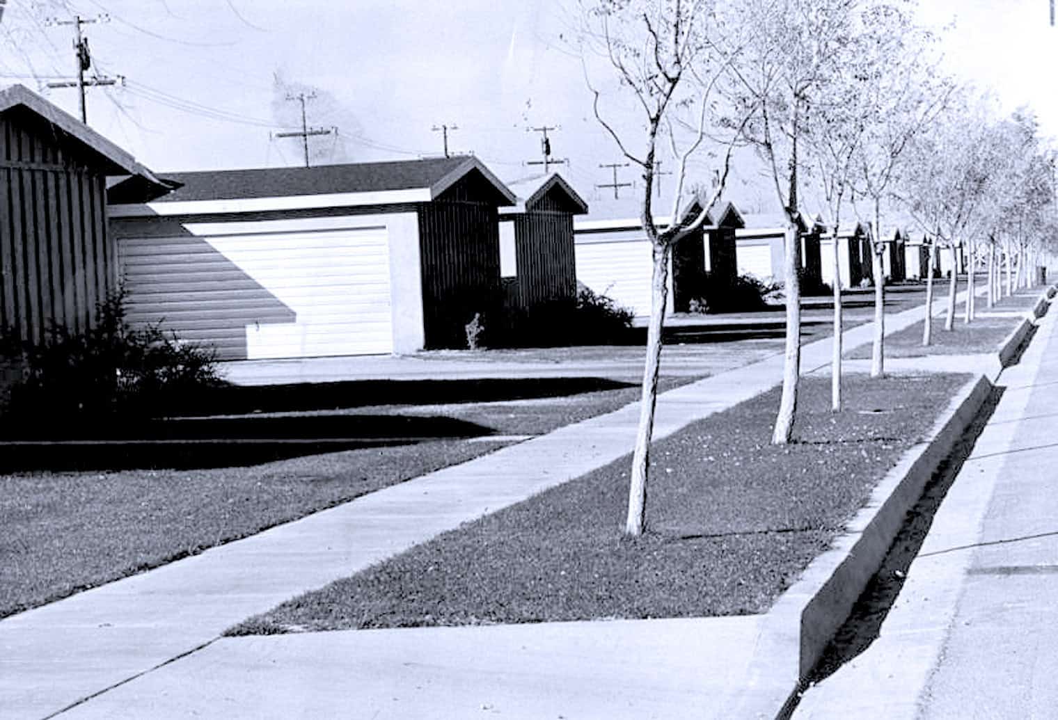 Empty suburban street with garages, leafless trees, and sidewalk, capturing urban neighborhood scene for historical and cityscape insights.