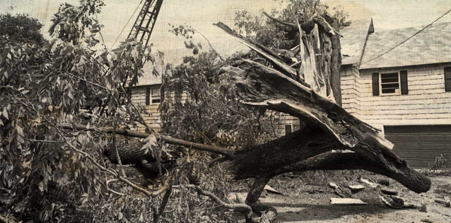 Broken tree and damaged house after storm, showcasing natural disaster impact, news archives, and weather history.