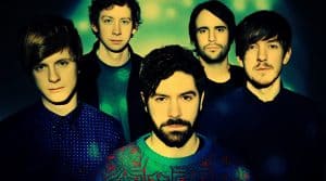 Foals