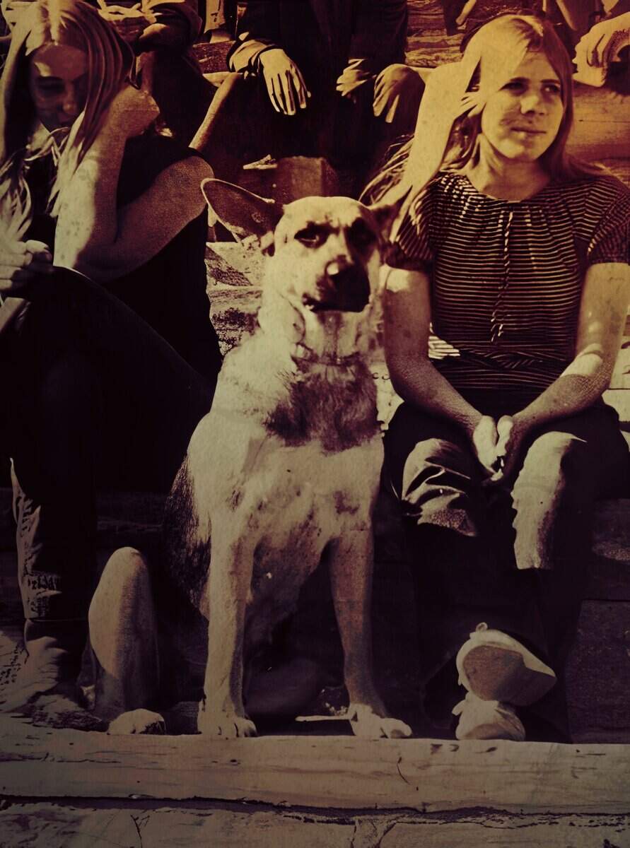 Dog sitting next to a woman with long hair, in a casual outdoor setting, captured in a vintage or sepia-toned photograph for nostalgic effect.