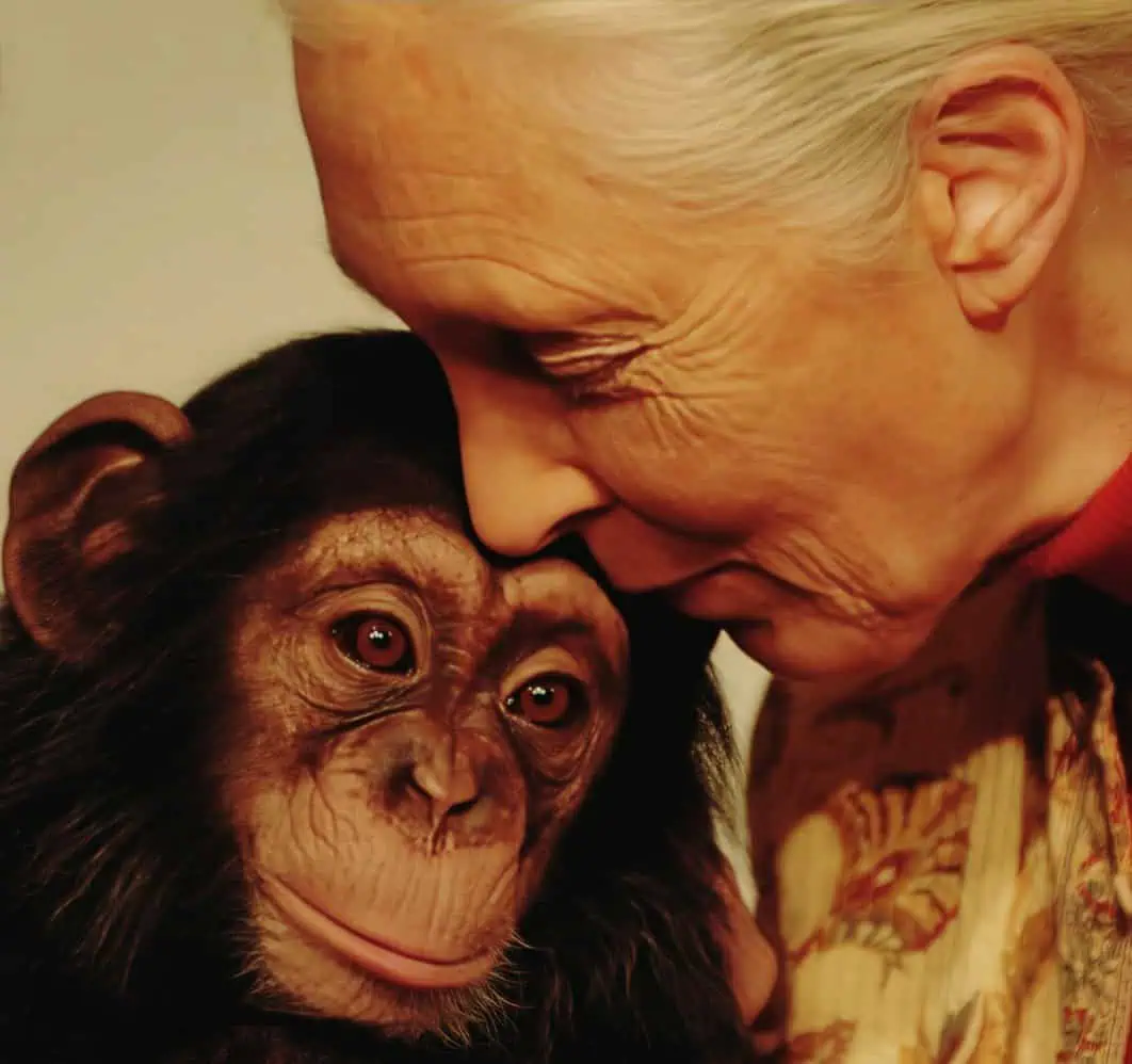 A close-up of an elderly woman with white hair gently touching noses with a young chimpanzee, highlighting a tender moment of human-animal connection and affection.
